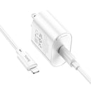 Hoco C109(PD20W) Fighter single port PD20W charger set(C to iP)(US)